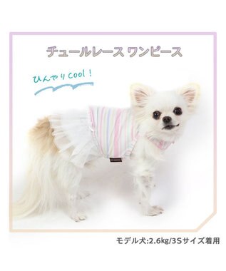 PET PARADISE 犬の服 夏 ひんやり クール メッシュ 接触冷感 虫よけ ボーダー ワンピース 【小型犬】クールマックスエコメイド ピンク（淡）