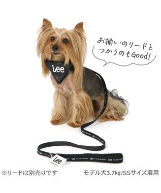 PET PARADISE Lee クッション バンダナ 首輪 ＳＳ ブラック