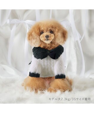 PET PARADISE cherircouture リボンニット 小型犬 ホワイト×ブラック