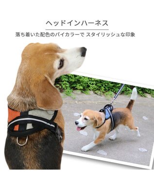 PET PARADISE ヘッドインハーネス  【SM】 オレンジ / ブルー 【中型犬】 オレンジ×グレー