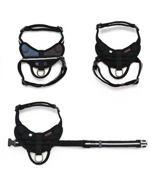 PET PARADISE ヘッドインハーネス  【SM】 オレンジ / ブルー 【中型犬】 ブルー×ブラウン