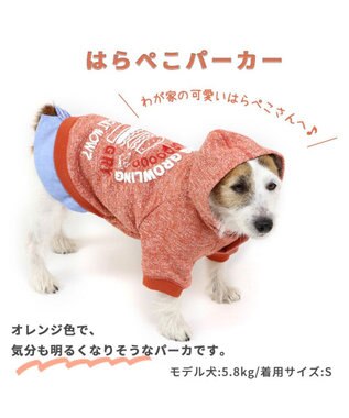 PET PARADISE 犬 服 秋冬 パーカー 【小型犬】 はらぺこ オレンジ