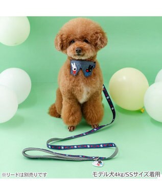 PET PARADISE リサとガスパール ハート襟付 首輪 ＳＳ ネイビー