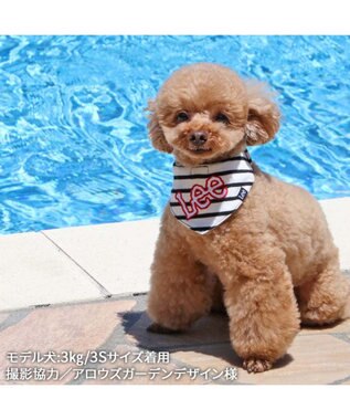 PET PARADISE Ｌｅｅ 冷感バンダナ 《ボーダー》 小型犬 ボーダー