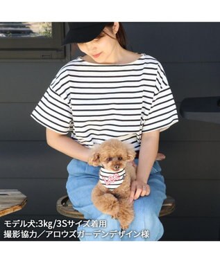 PET PARADISE Ｌｅｅ 冷感バンダナ 《ボーダー》 小型犬 ボーダー