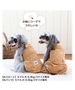 犬 服 Ｌｅｅ ワンピース 〔小型犬〕 コーデュロイ ブラウン 犬服 犬の