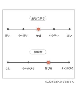 PET PARADISE リサとガスパール  ペティヒート タンクトップ チェック柄 小型犬 -