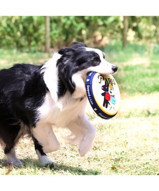 PET PARADISE 犬 おもちゃ リサとガスパール フライングディスク M (直径22cm) 黄