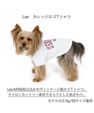 犬の服 犬 Ｌｅｅ tシャツ 【小型犬】 カレッジ / PET PARADISE