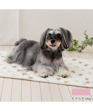 PET PARADISE ペットパラダイス くまちゃん クールマット 《mix柄》 Ｍ ホワイト×ブラウン