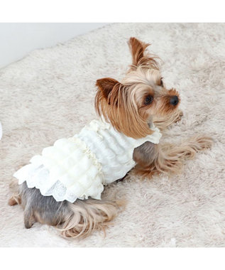 PET PARADISE ペットパラダイス ぽこぽこ ワンピース 《ホワイト》 小型犬 ホワイト