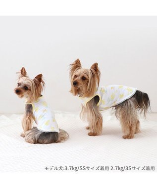 犬服 3S わんこの普段着ミモザ