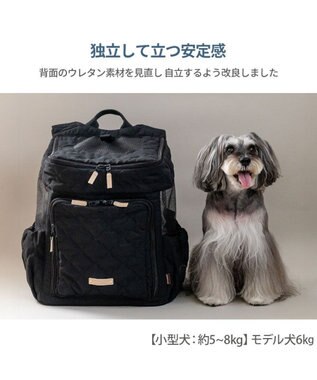 PET PARADISE ペットパラダイス ナチュラル キルティング ハグ＆リュック Ｌ 小型犬 ブラック