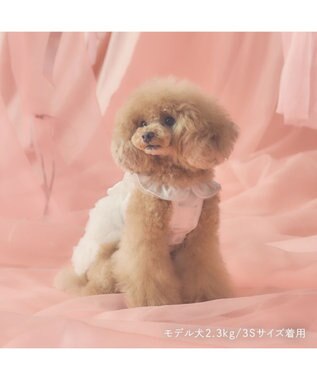 PET PARADISE cherircouture ローズチュールワンピース 《ホワイト》 小型犬 ホワイト