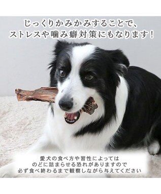 PET PARADISE 鹿 肩甲骨 デンタルおやつ Mサイズ×2本 純国産 鹿 肩甲骨