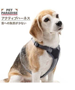 PET PARADISE ペットパラダイス アクティブハーネス 杢調 ＳＭ 中型犬