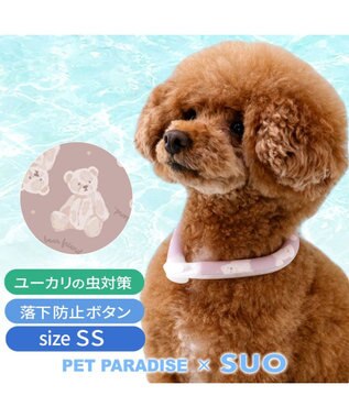 クマ犬子様 リクエスト 3点 まとめ商品 ペットパラダイス 28℃クールリング 《くま》 SS 小型犬 / PET