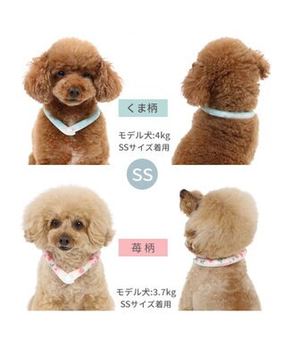 PET PARADISE ペットパラダイス 28℃クールリング SUO 《いちご柄》 〔ＳＳ〕 小型犬 いちご