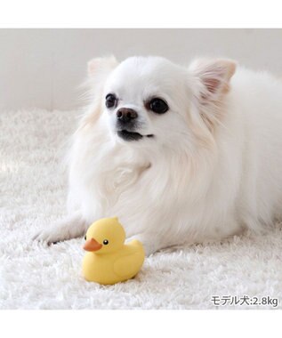 PET PARADISE ペットパラダイス あひる ラテックス トイ イエロー