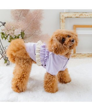 PET PARADISE ペットパラダイス ドット柄 フード付パーカー 《パープル》 小型犬 パープル