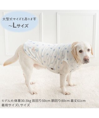 PET PARADISE ペットパラダイス やさしい タンクトップ 《気球柄》 中型犬 大型犬 ホワイト×ブルー