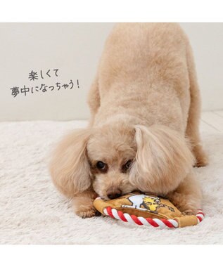PET PARADISE スヌーピー ロープフリスビー トイ レッド