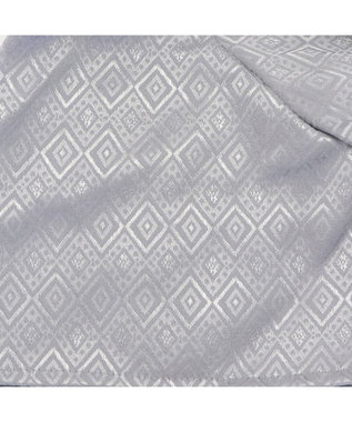 PET PARADISE ペットパラダイス 紋付袴 《シルバー》 中型犬 大型犬 黒