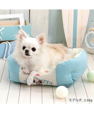 PET PARADISE スヌーピー クールカドラー 《アイス柄》 角型 S ホワイト×ブルー
