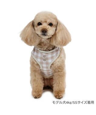 PET PARADISE ペットパラダイス くまちゃん リュック付き ハーネス ３Ｓ 小型犬 ベージュ