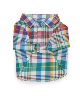 PET PARADISE J.PRESS マドラスチェック シャツ 小型犬 マルチカラー