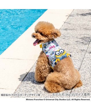 PET PARADISE ミニオン クールベスト 《アイス柄》 小型犬 ライトブルー