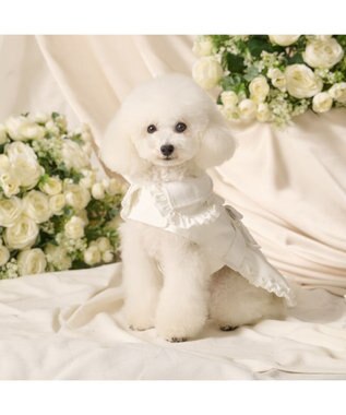 PET PARADISE cherircouture フリフリ トレンチコート 小型犬 オフホワイト