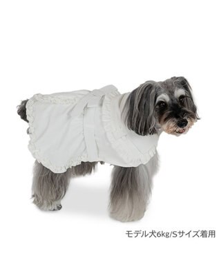 PET PARADISE cherircouture フリフリ トレンチコート 小型犬 オフホワイト