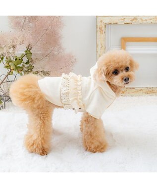 PET PARADISE ペットパラダイス ドット柄 フード付パーカー 《ホワイト》 小型犬 ホワイト