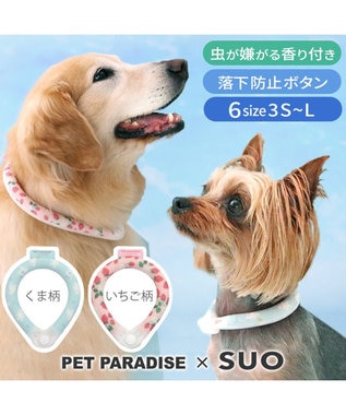 PET PARADISE ペットパラダイス 28℃クールリング SUO 《くま柄》 〔Ｌ〕 大型犬 くまちゃん