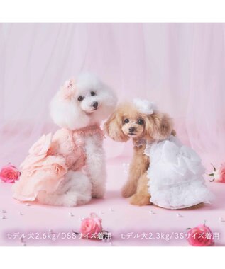 PET PARADISE cherircouture メニ―ローズ ワンピース ホワイト 小型犬 ホワイト