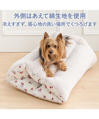 PET PARADISE ペットパラダイス クール トンネルカドラー 《苺花柄》 ホワイト×レッド