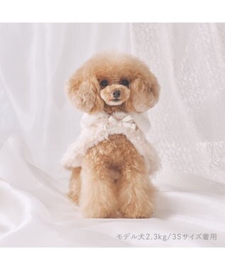 PET PARADISE cherircouture キラキラポンチョ 小型犬 ホワイト