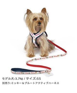 PET PARADISE ディズニー ミッキーマウス プルート 散歩柄 リード 【SS~S】 小型犬 -