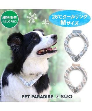 PET PARADISE クールリング 犬 クールネック ひんやり 28℃クールリング 【M】 リフレクター 水色 ベージュ 反射材付き 水色 M