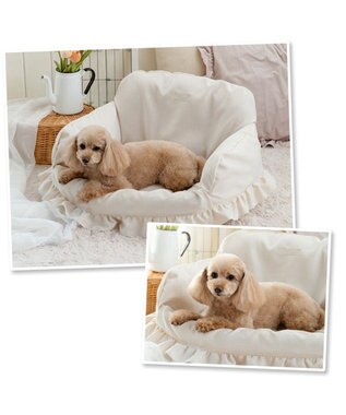 PET PARADISE ペットパラダイス カバー付き ソファー ベッド オフホワイト