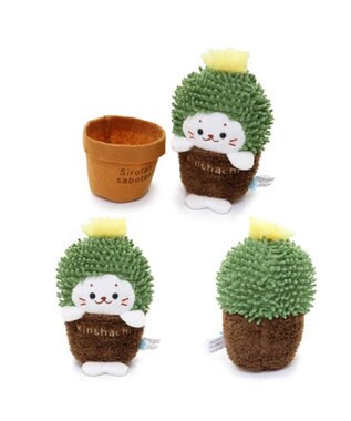 Mother garden しろたん サボテン マスコット 《きんしゃちサボテン》 きんしゃちサボテン