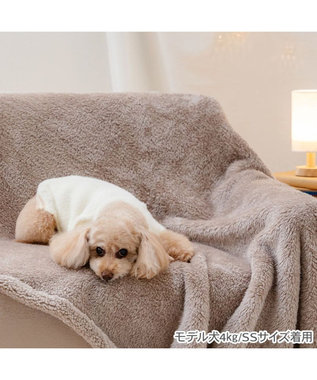 PET PARADISE ペットパラダイス くまちゃん ぬくふわニット 小型犬 ホワイト