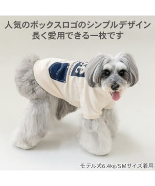PET PARADISE Lee ボックスロゴ トレーナー ホワイト 小型犬 ホワイト