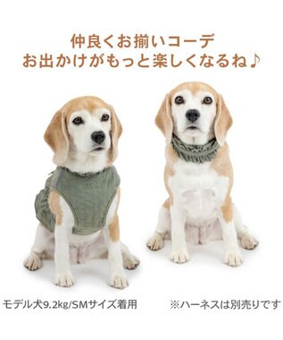 PET PARADISE ペットパラダイス ペタルオリーブ首輪 Ｍ カーキ