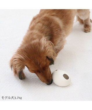 PET PARADISE リサとガスパール ラテックストイ 《リサ》 ホワイト