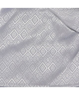 PET PARADISE ペットパラダイス 紋付袴 《シルバー》 小型犬 黒