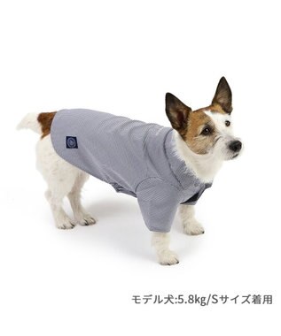 PET PARADISE J.PRESS チェックシャツ 小型犬 ネイビー