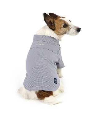 PET PARADISE J.PRESS チェックシャツ 小型犬 ネイビー
