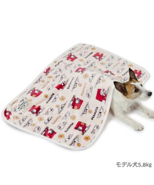 スヌーピー  ブランケット  ハワイ柄 スヌーピー ブランケット 《ブラザー柄》 90×60cm / PET